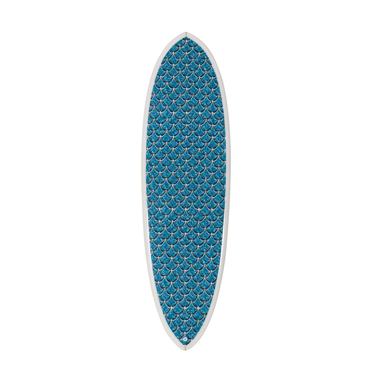 The Sea Scallop Print – Designer Surfboard Wall Art