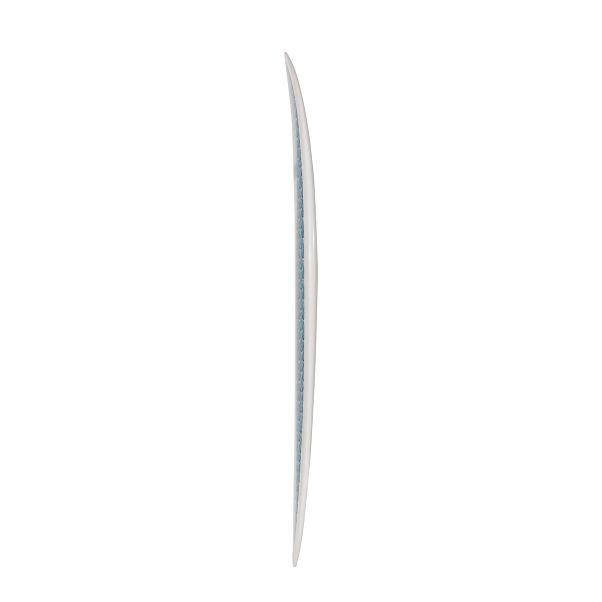 The Sea Scallop Print – Designer Surfboard Wall Art
