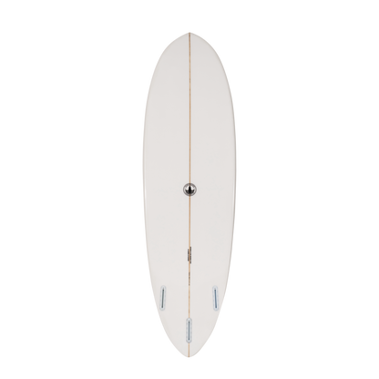 The Sea Scallop Print – Designer Surfboard Wall Art
