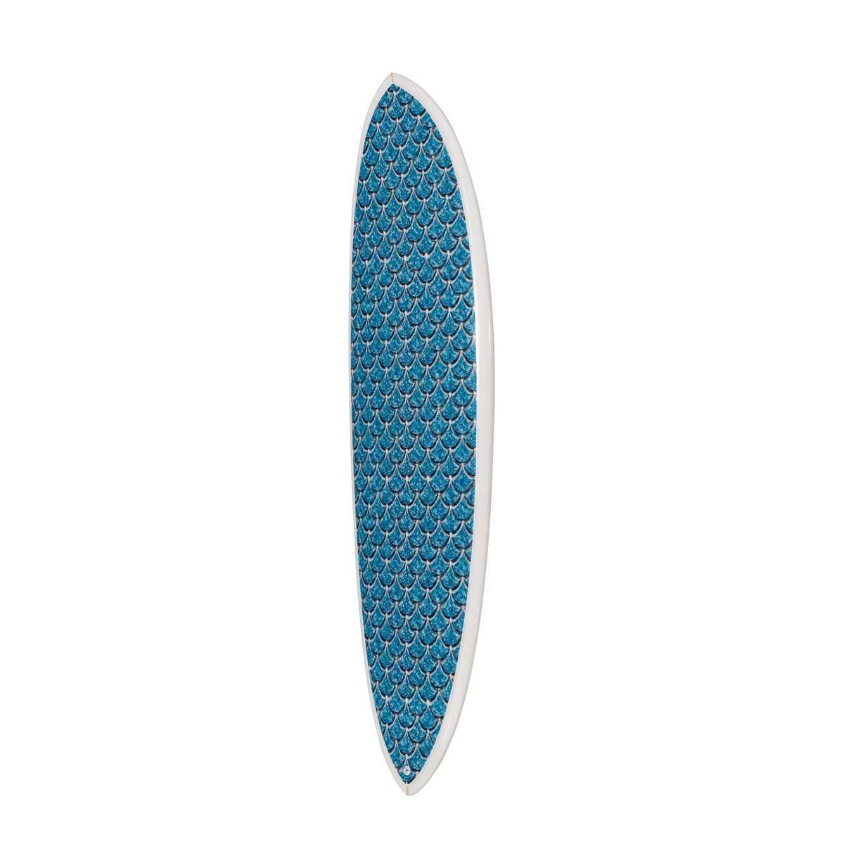 The Sea Scallop Print – Designer Surfboard Wall Art