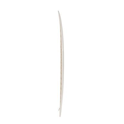 The Palm Print – Designer Surfboard Wall Art