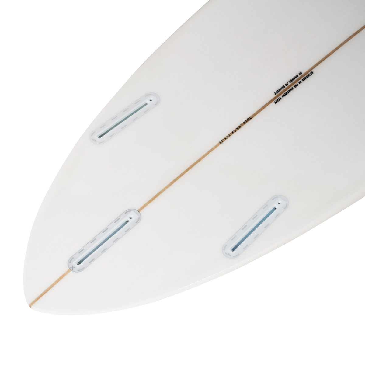 The Sea Scallop Print – Designer Surfboard Wall Art