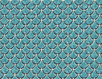 The Sea Scallop Print – Designer Surfboard Wall Art